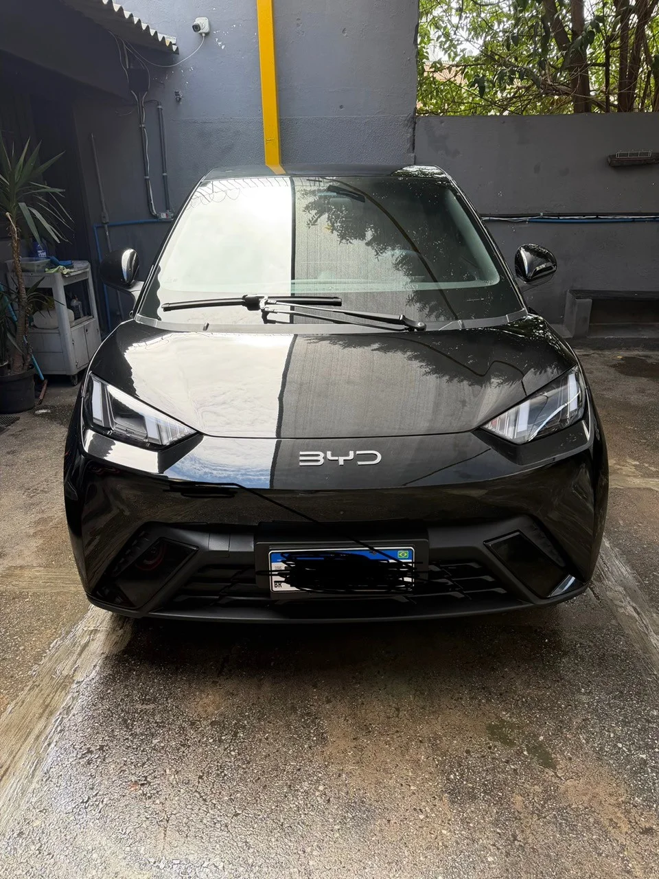 BYD DOLPHIN MINI GS